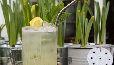 Garden Spring Collins