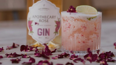 Cranberry Rose Sour