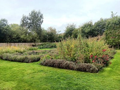 September in the Garden: Harvests, Hedge Trimming, and Autumn Preparations