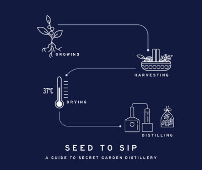 Our Seed to Sip Process