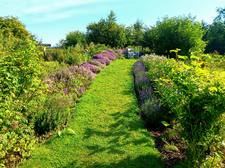 From Petal to Pour: Our Head Gardener’s Update from the Distillery Garden