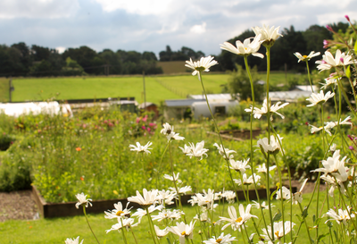 New blog - Sustainable practices at The Secret Garden Distillery : An introduction