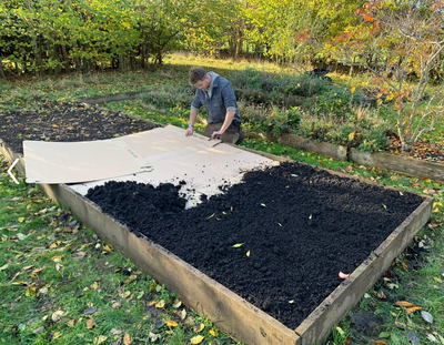 Introducing Our No-Dig Beds