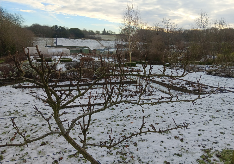 Secret Garden Distillery in the depths of winter taken from the pear trees whose blossom is used in our Summer London Dry gin towards the Distillery buildings and Glass House