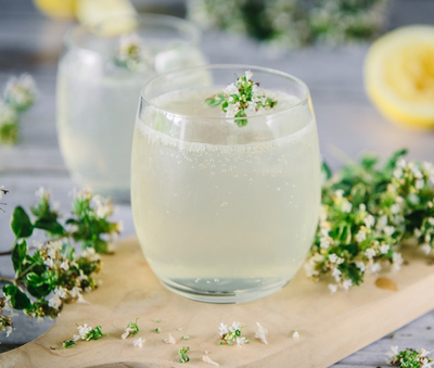 Gin Cocktails: Edinburgh's Most Loved Recipes