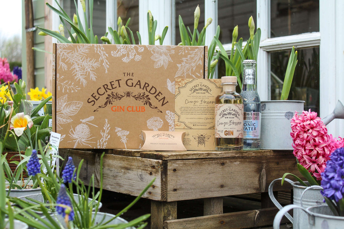 Discover Our Gin Club - April's Box