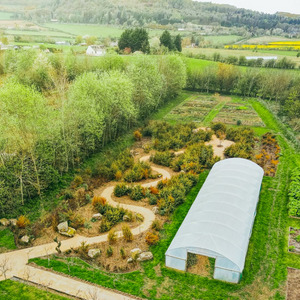 Drone shot of the Juniper Woodland and Gin Poly tunnel at the Secret Garden Distillery at th foot of the Pentland Hills in Edinburgh